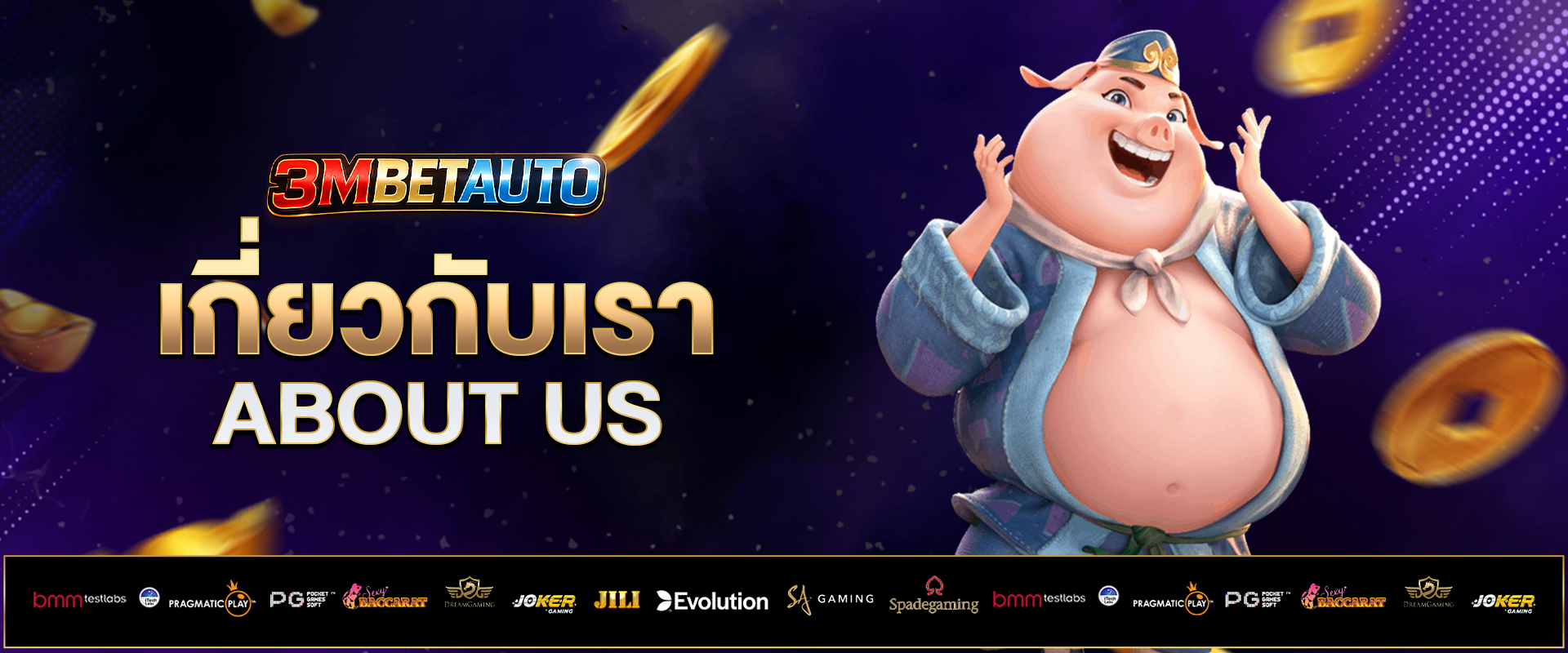 เกี่ยวกับเรา